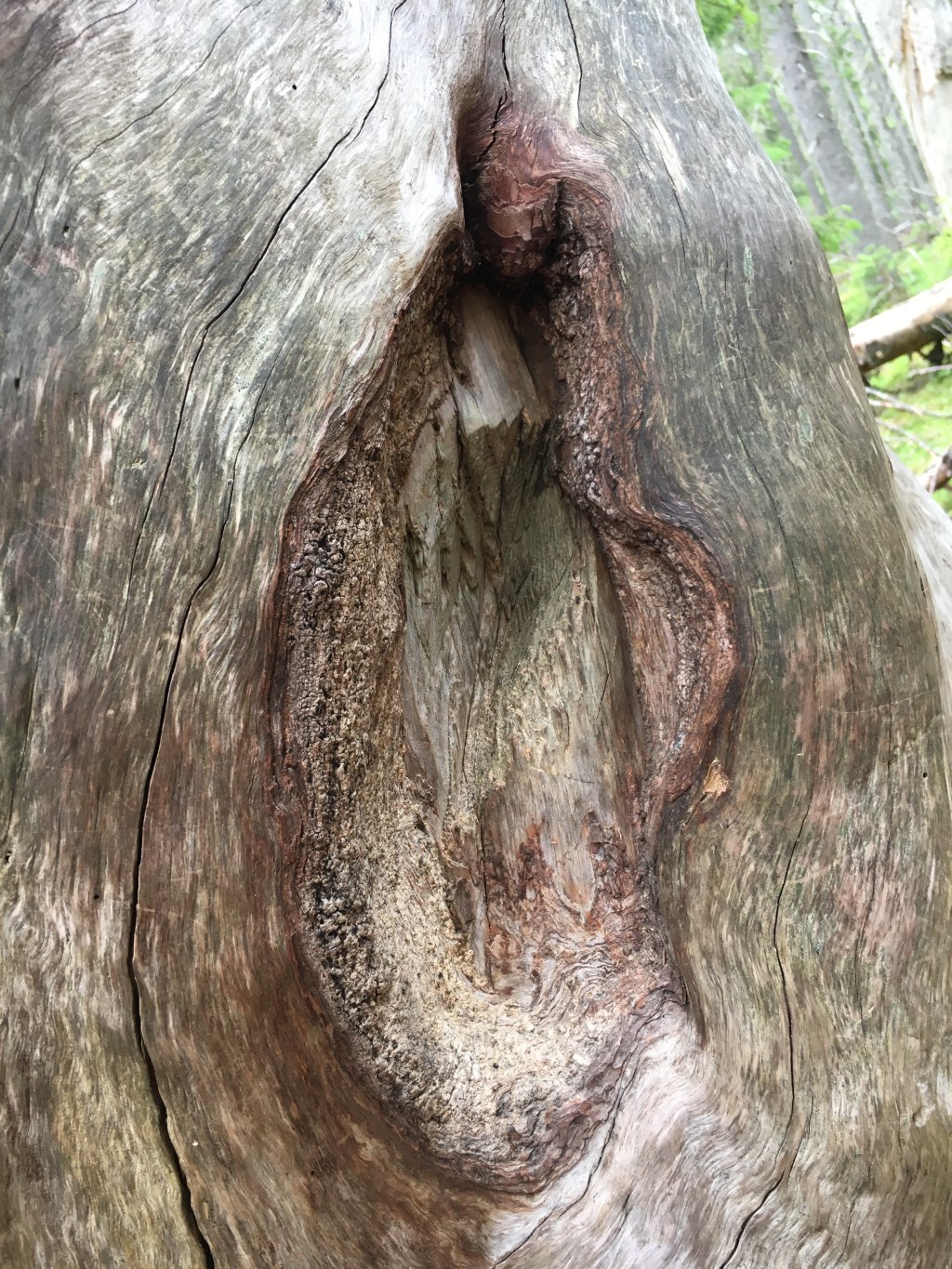 They heard you come&nbsp;by